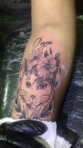 Opiniones de Templario Tattoo Studio Privado - Tatuajes Piercing y Eliminacion Láser en Lo Prado - Estudio de tatuajes