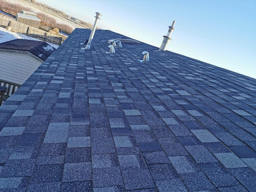 Nailing It Roofing