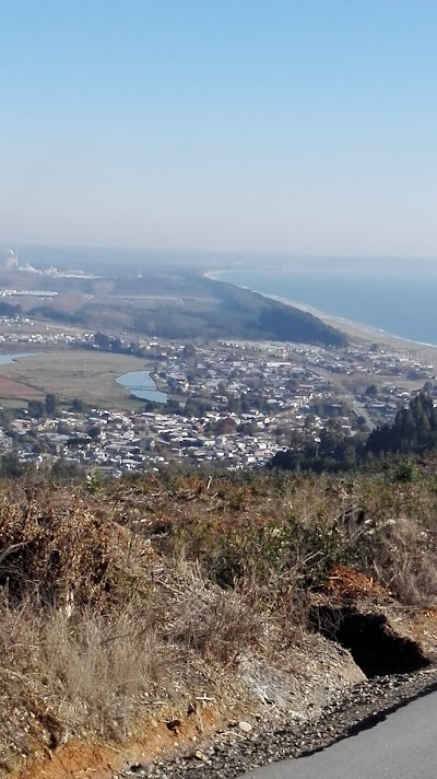 Photos of Forestal Arauco