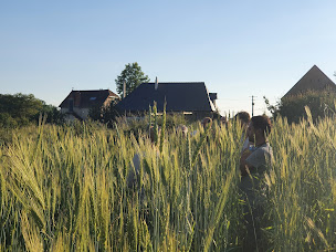 Photo n°7 de Domaine Neuf à Saint-Hilaire-Fontaine (Camping à la ferme)