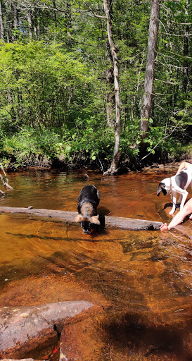 Sixmile Creek - Thumbnail