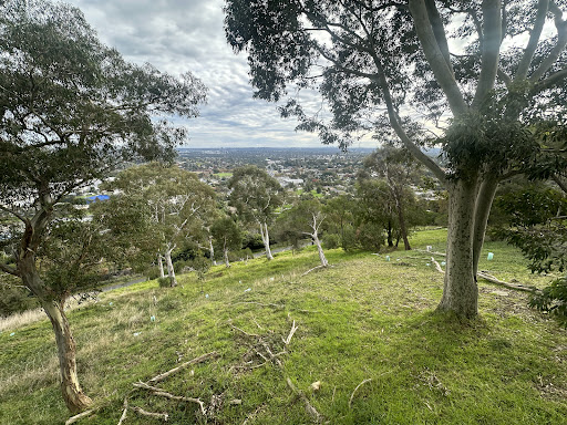 Ferntree Gully Quarry Reserve Lookout