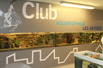Club Aquariophile - Les Abysses à Rueil-Malmaison