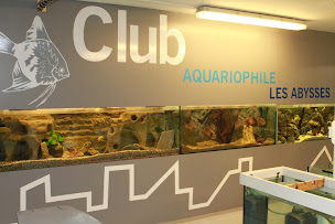 Photo n°1 de Club Aquariophile - Les Abysses à Rueil-Malmaison (Aquarium)