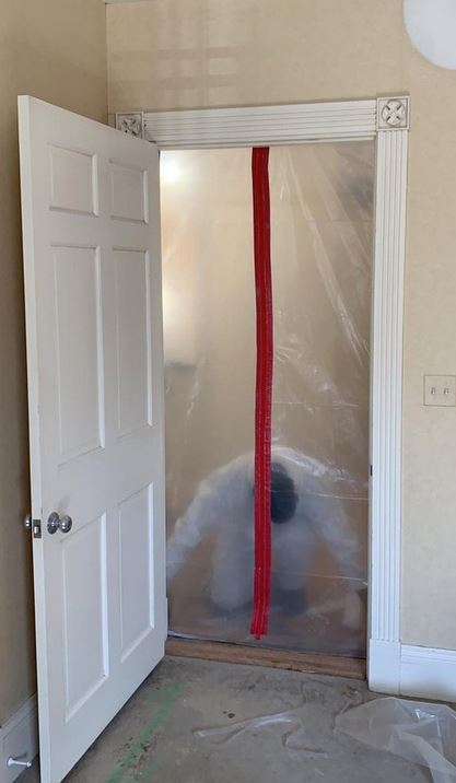 Mold Remediation Los Angeles Experts photo