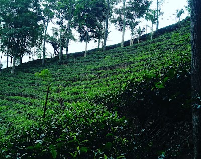 Photos of Hawagala