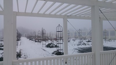Photos of Kaunas Botanical Gardens