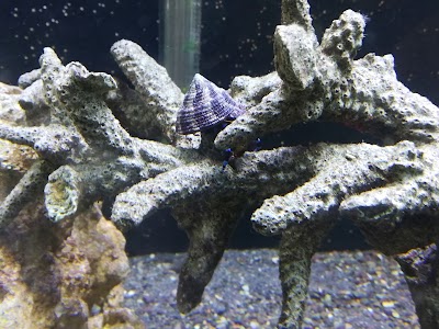Photos of Perky Pets & Vet Diep River