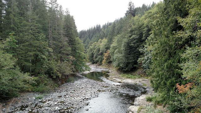 Tillamook Forest Center