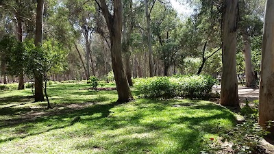 Photos of Urban Forest Ibn Sina "Hilton"
