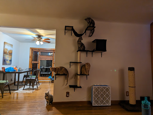 Pennsylvania Animal Wellness and Surgery - Thumbnail
