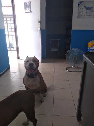 Veterinaria Ha-Del