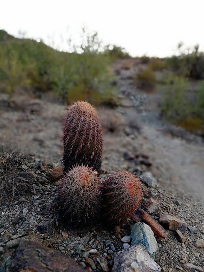 Photos of San Juan & Summit Rd Parking Lot
