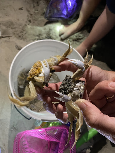 Ghost Crab Quest, LLC