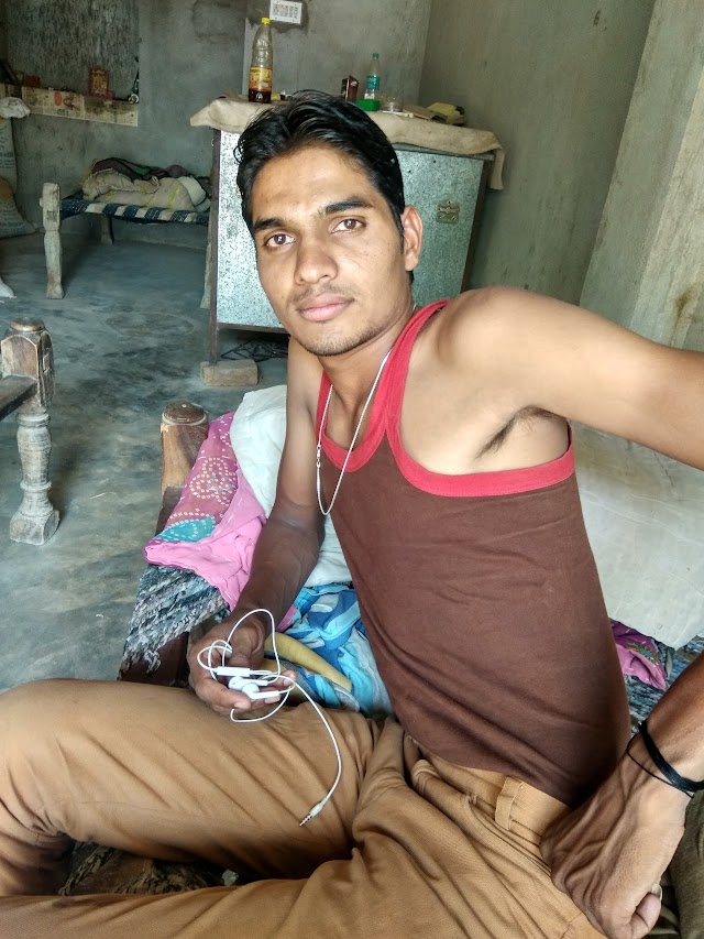 Charity Bird Hospital - पक्षियों का धर्मार्थ चिकित्सालय