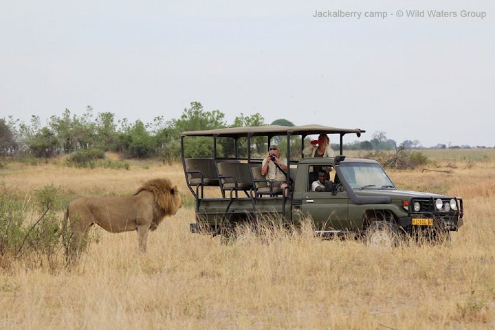 Jackalberry Tented Camp by null