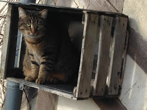 Photo n°11 de la maison de Christelle à Ablon (Chambre d'hôtes)
