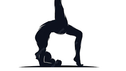 Pilates Studio Profissionais