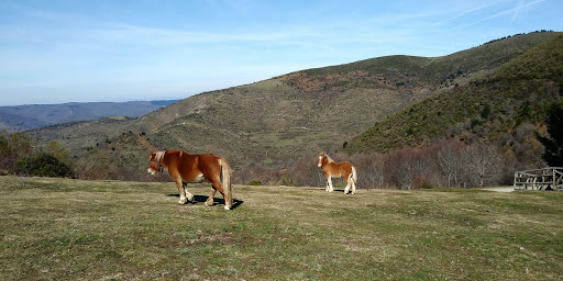 Alto de Mingaña
