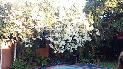 Photos of Mozaika Guesthouse