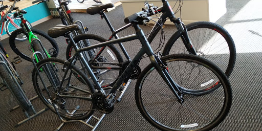 Robin's Bikes & Fitness Gallery - United States