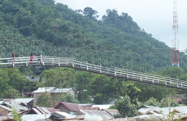 Bukit Lawang