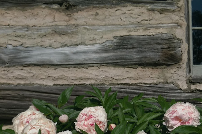 Visit Hyde Log Cabin On Your Trip To Grand Isle Or United States