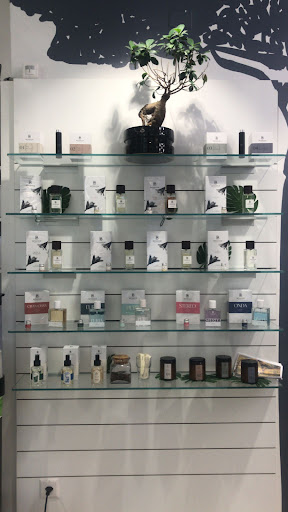 Farmacia Semper Fidelis - Thumbnail