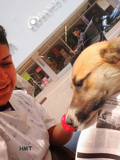 Veteria Centro Hospitalario para mascotas 24 horas