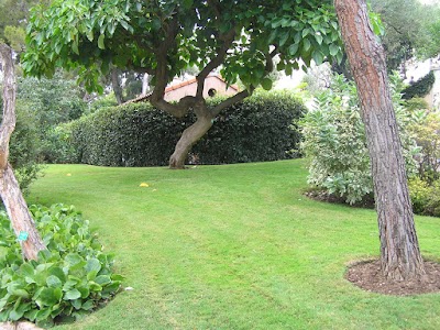 Photos of Saint-Martin Gardens