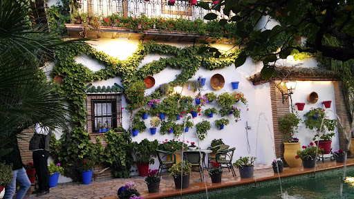 Anis Museum - Visual