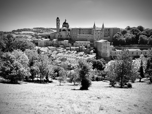 urbino free park and photo shot - Thumbnail