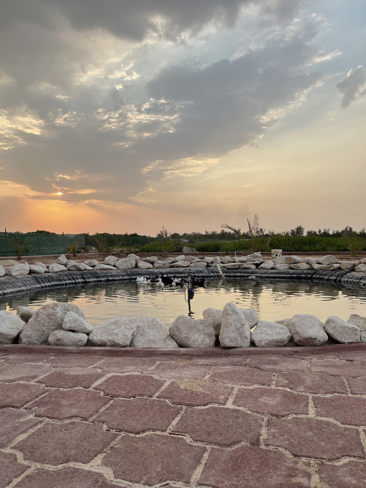 مزرعة مراحب - صورة 2