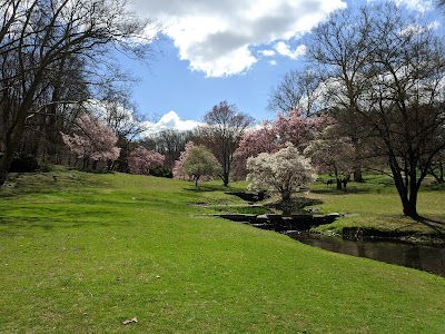 Valley Garden Park