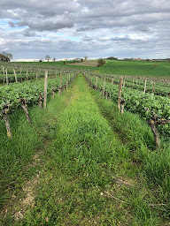 Photo n°6 de Domaine du Bourrou à Réjaumont (Établissement vinicole)