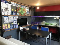 ＣＡＲＳＨＯＰ ＦＯＲＴＹＯＮＥ