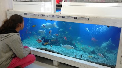 Photos of PETWORLD