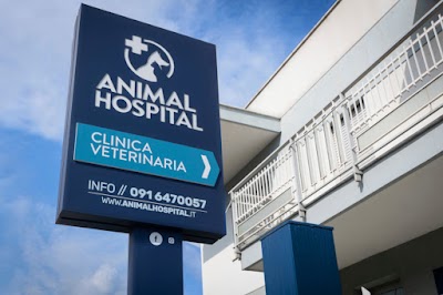 Photos of Animal Hospital - Veterinary Clinic