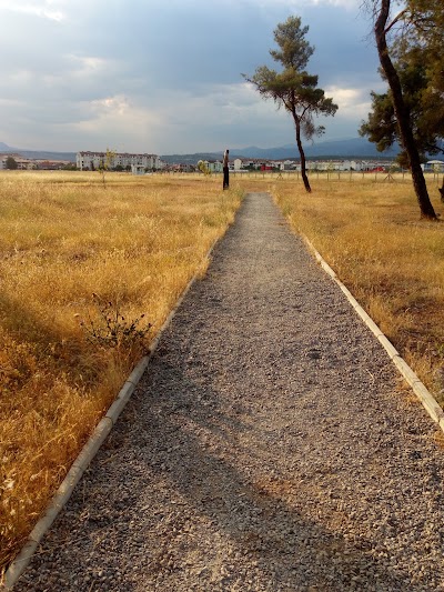 Photos of Ćemovsko polje, zabavni park