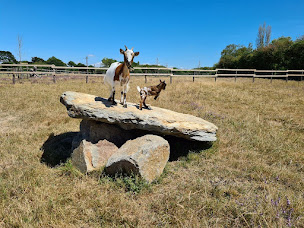 Photo n°7 de Camping Yelloh! Village Le Ranch à La Plaine-sur-Mer (Agence de location de maisons de vacances)