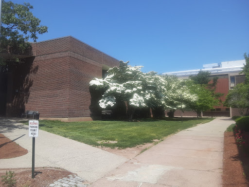 UT Hall - Visual