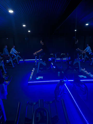 Spin 819 - Visual