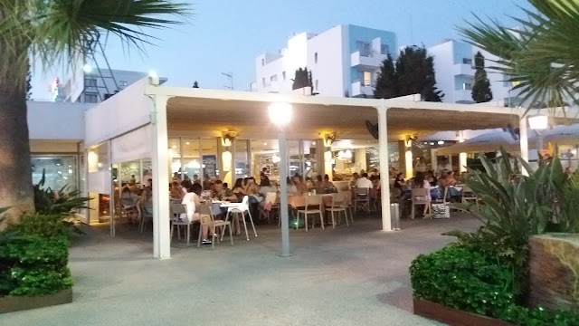 Ocean Basket