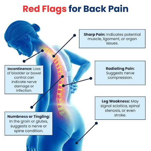 Understanding back pain 'red flags' is crucial for your health. While minor aches are common, be… post image