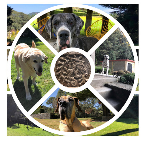 Pensión Canina Campestre "La Cabaña"