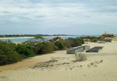 Photos of Crocodile lakes panama