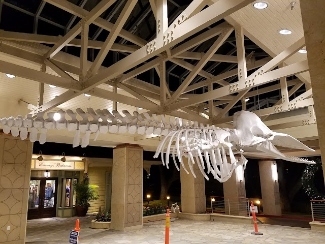 Whalers Village