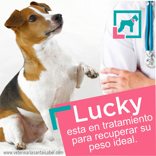 Clínica Veterinaria Santa Isabel