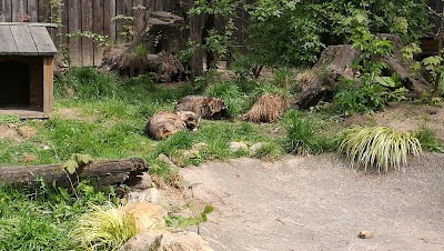 Photos of Solingen Bird and Animal Park