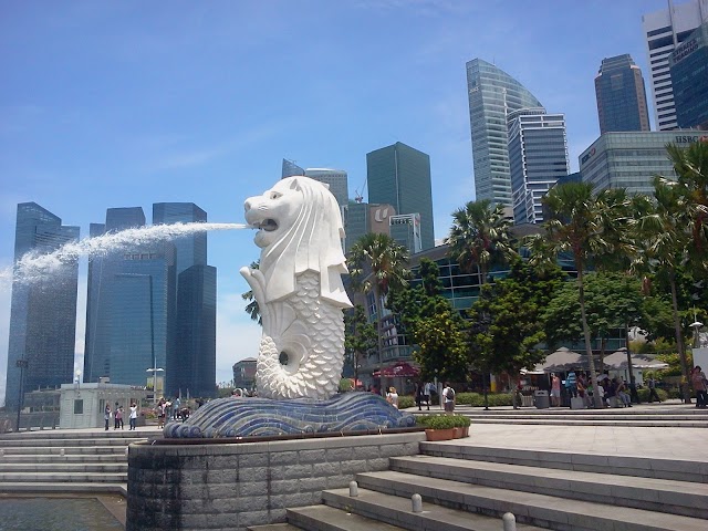 Merlion Singapore Pte Ltd